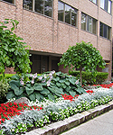 15 Maitland Exterior view