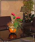 thumbnail image 1 of 3 homewood interior