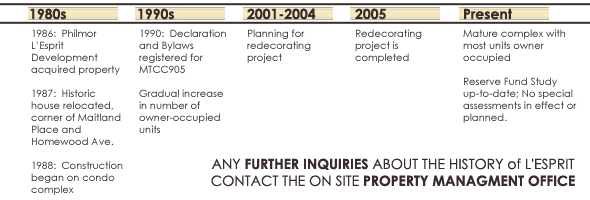 history timeline graphic